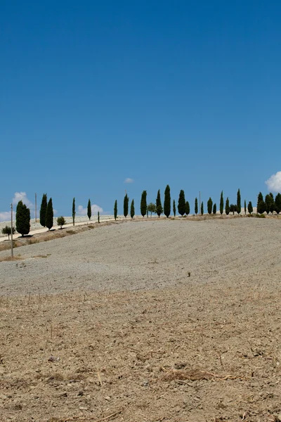 Crete senesi - krajobraz Toskanii — Zdjęcie stockowe