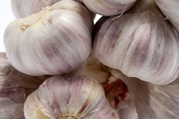 Frischer Knoblauch — Stockfoto