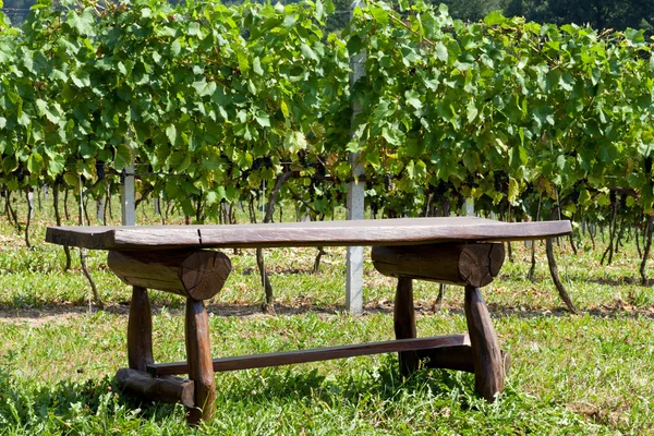 Uvas blancas en el viñedo — Foto de Stock