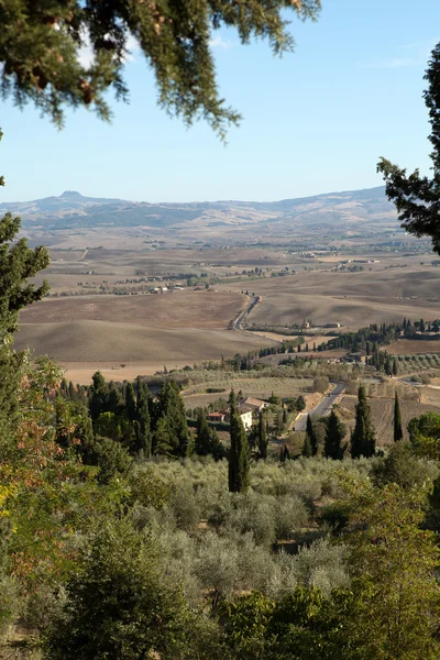 Οι λόφοι γύρω από pienza και monticchiello — Φωτογραφία Αρχείου