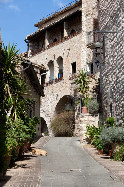Calle medieval en la ciudad italiana de Asís — Foto de Stock