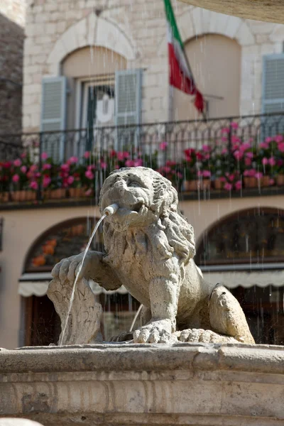 Aslan Çeşmesi'ana Kent Meydanı assisi, İtalya — Stok fotoğraf
