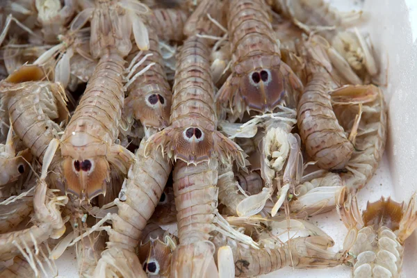 Fresh shrimp — Stock Photo, Image