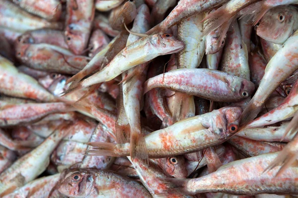 Frischer Fisch auf Eis auf dem Markt — Stockfoto