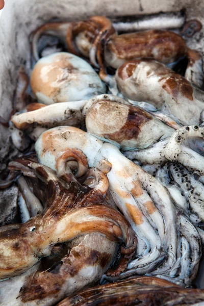 Polpo fresco in un mercato alimentare — Foto Stock