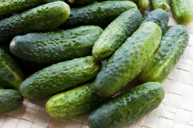 Beyaz arkaplanda yeşil salatalık izole edilmiş.