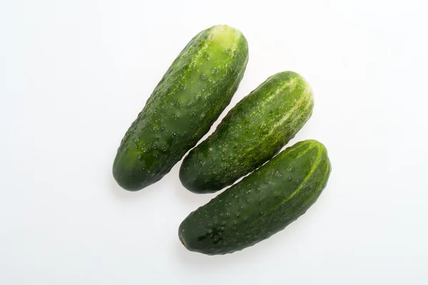 Green cucumber isolated on a white background — Stock Photo, Image