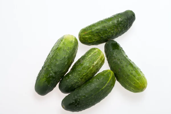 Green cucumber isolated on a white background — Stock Photo, Image