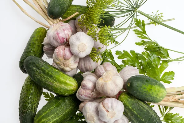 Verduras frescas sobre el fondo blanco — Foto de Stock