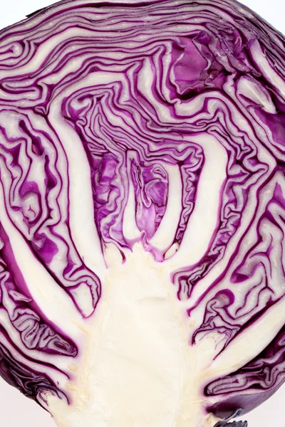 Rotkohl-Querschnitt auf weißem Hintergrund — Stockfoto