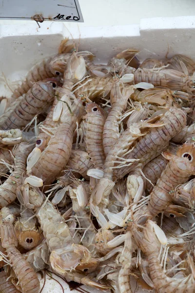 Fresh shrimp — Stock Photo, Image