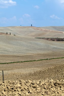 Girit senesi - Toskana peyzaj