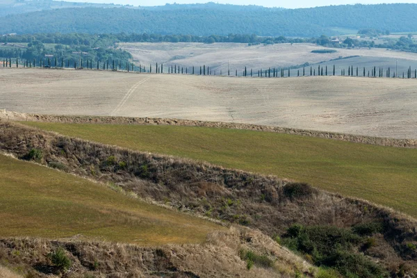 Beton senesi - die Landschaft der Toskana — Stockfoto
