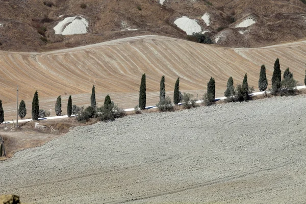 Crete senesi - het landschap van de Toscane — Stockfoto