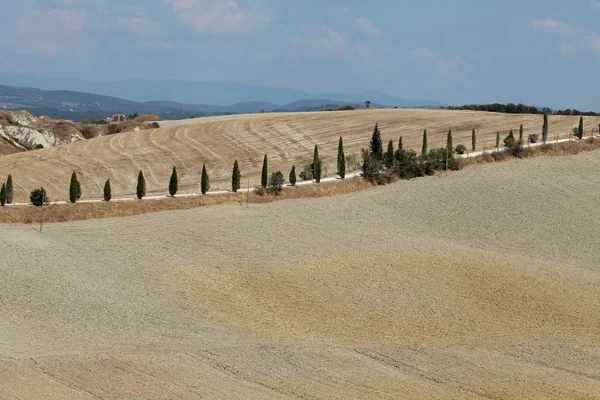 Κρήτη senesi - το τοπίο της Τοσκάνης — Φωτογραφία Αρχείου