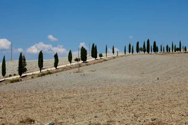 Crete Senesi - The landscape of the Tuscany. Ital — Stock Photo, Image