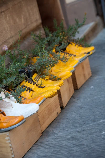 Oude schoenen verwerkt op bloempotten — Stockfoto