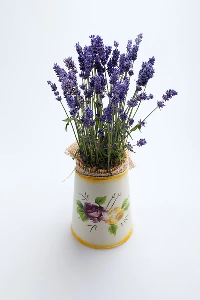 Watering Can, Jug and Lavender isolated on white — Stock Photo, Image