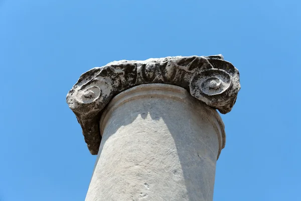 Ionian column capital, architectural detail — Stock Photo, Image