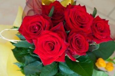 Güzellik kırmızı gül