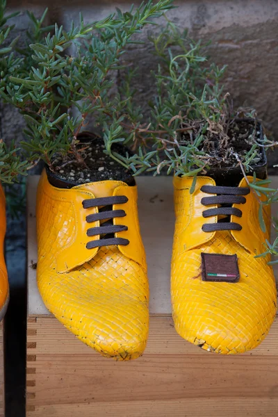 Vecchie scarpe lavorate su vasi da fiori — Foto Stock