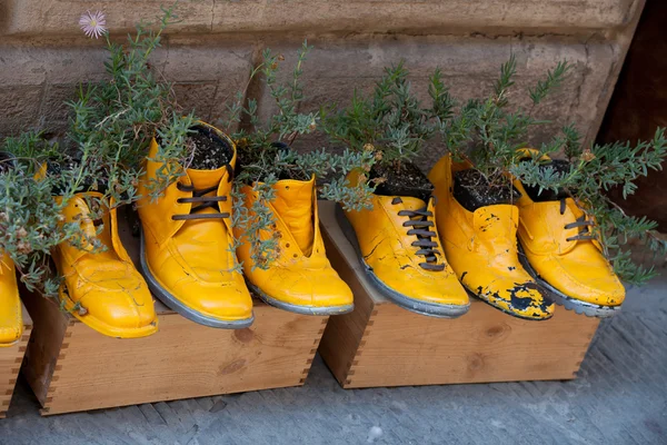 Vecchie scarpe lavorate su vasi da fiori — Foto Stock