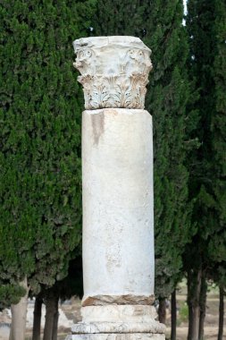 hierapolis Antik şehir kalıntıları