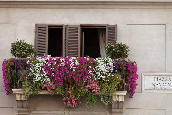 Rome - le balcon avec des fleurs sur la Piazza Navona — Photo