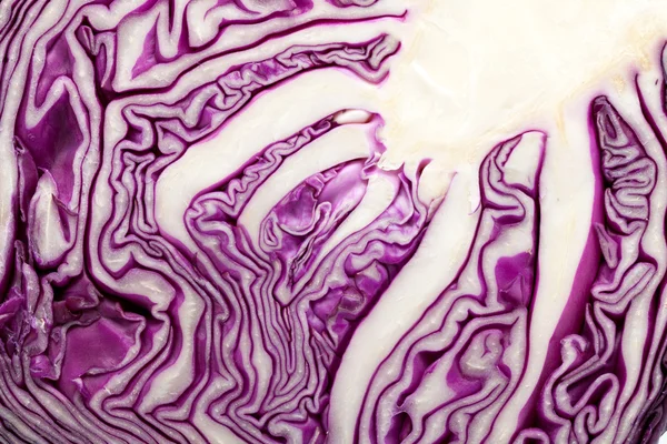 Red Cabbage on White Background — Stock Photo, Image