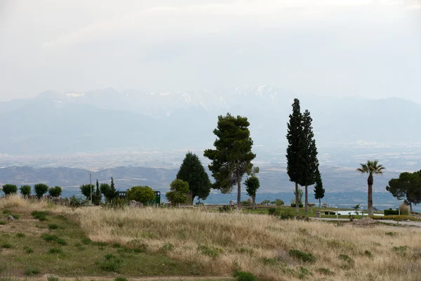 Idyllische landschap met cypress — Stockfoto