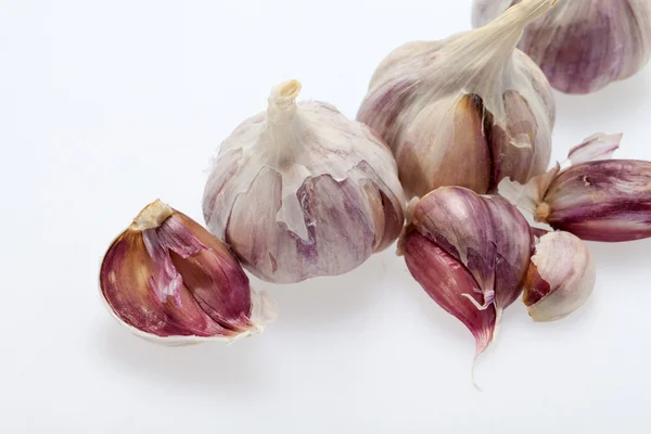 Frischer Knoblauch auf weißem Hintergrund — Stockfoto