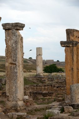 hierapolis Antik şehir kalıntıları