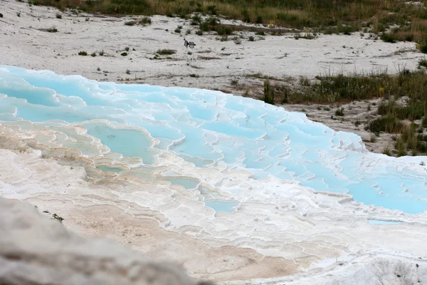 Pamukkale hindisinin içinde travertin havuzları ve terasları — Stok fotoğraf