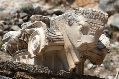 Harabeleri antik Yunan şehir Efes