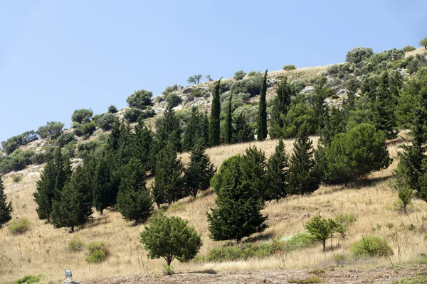 Ruines de la ville grecque antique Ephèse — Photo