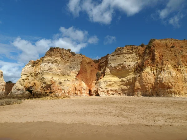 Algarve bölgesindeki huzurlu Praia de Rocha sahilinin bir bölümü..
