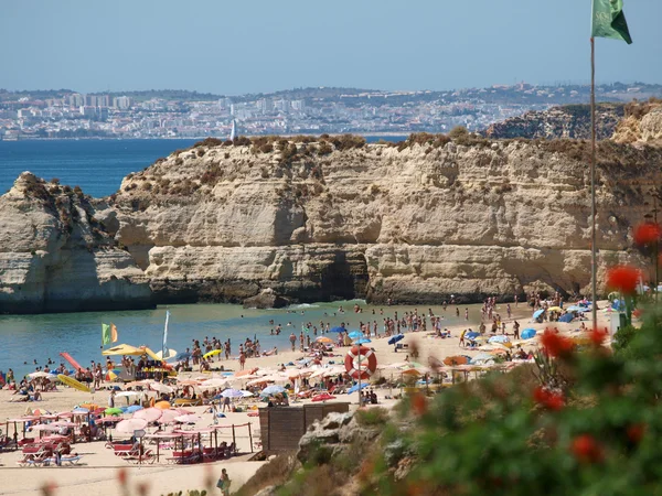 Una sección de la idílica playa de Praia de Rocha en la región del Algarve . —  Fotos de Stock