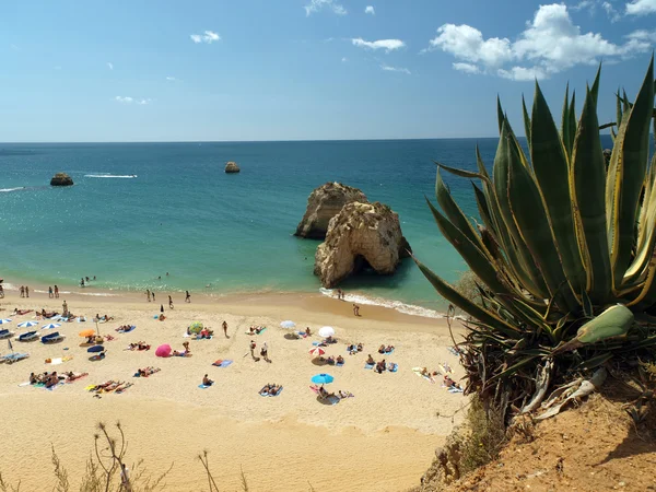 A section of the idyllic Praia de Rocha beach on the Algarve regio — Stock Photo, Image