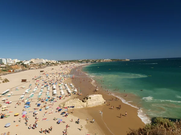 En del av den idylliska stranden praia de Rocha på algarve regio — Stockfoto