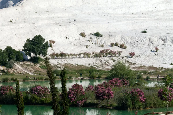 파머 쿠 칼레 칠면조에 있는 트래버틴 연못 과 계단식 밭 — 스톡 사진