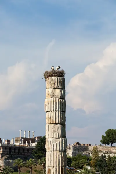 El Templo de Artemisa, una de las Siete Maravillas del Mundo Antiguo —  Fotos de Stock