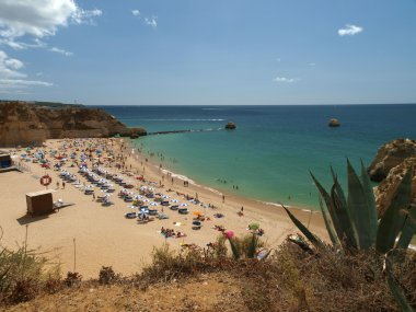 Praia de rocha kumsalda algarve bölgesi.