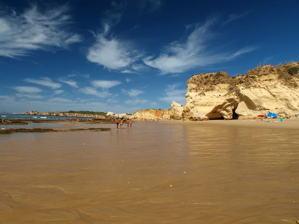 Praia de Rocha na região do Algarve . — Fotografia de Stock