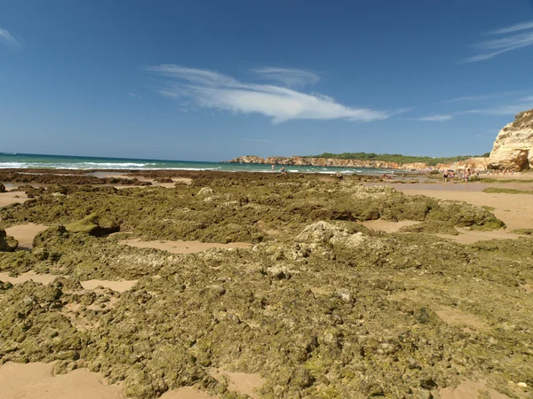 Stranden Praia de Rocha på regionen algarve. — Stockfoto