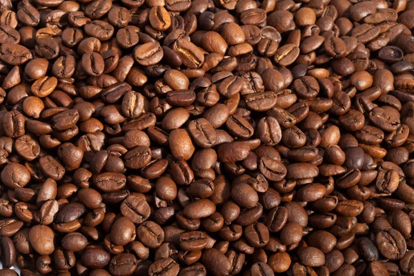 Grãos de café fechar isolado em branco — Fotografia de Stock