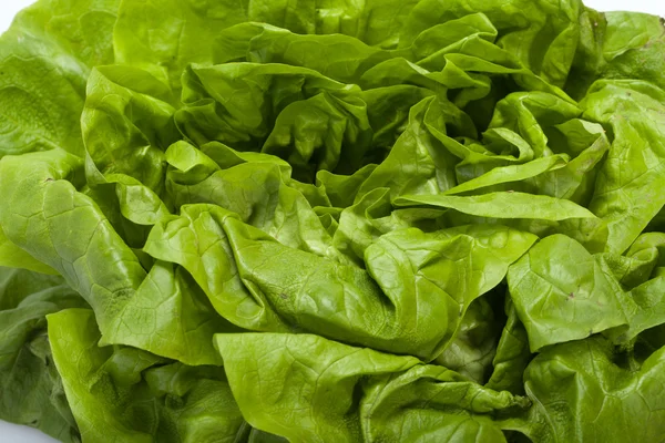 Ensalada de lechuga verde fresca aislada sobre fondo blanco — Foto de Stock