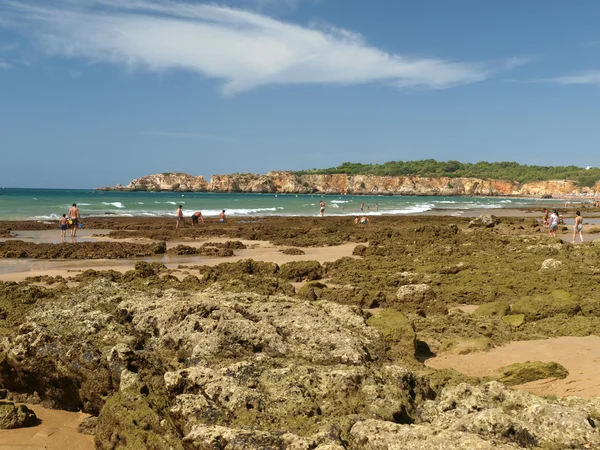 Una sección de la idílica playa de Praia de Rocha en la región del Algarve . —  Fotos de Stock