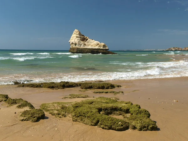 Una sección de la idílica playa de Praia de Rocha en la región del Algarve . —  Fotos de Stock