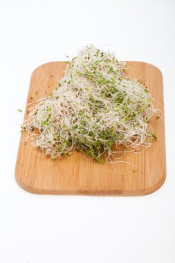 Sağlıklı beslenme. Beyaz arkaplanda taze filizler izole edildi