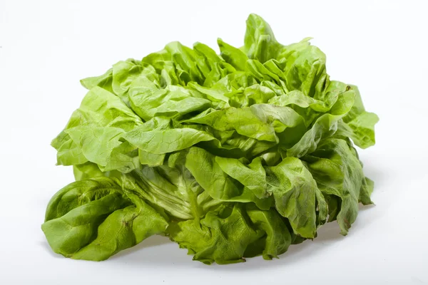 Fresh green Lettuce salad isolated on white background — Stock Photo, Image